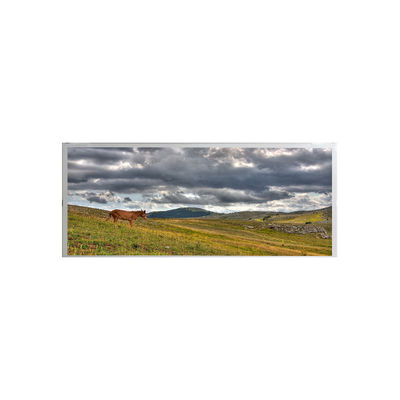 İyi bir fiyat. AMPIRE 19.1 inç Endüstriyel LCD ekran AM-1920360ATZQW-00 çevrimiçi