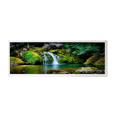 İyi bir fiyat. 10.3 İnç 1920*720 LCD Ekran Paneli HSD103JPW2-A00 çevrimiçi