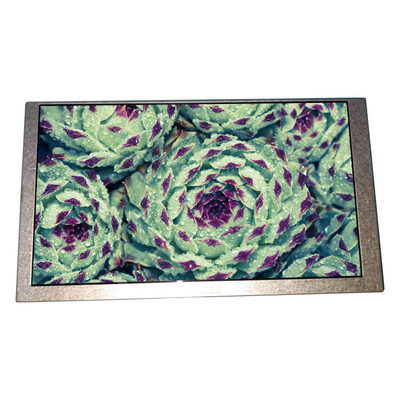 İyi bir fiyat. 6.2 inç HSD062IDW1-B00-C00 LCD panel 800*480 LCD ekran çevrimiçi