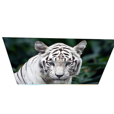 İyi bir fiyat. Endüstri G270QAN02.0 27.0 inç 70 pinli TFT LCD Panelli çevrimiçi