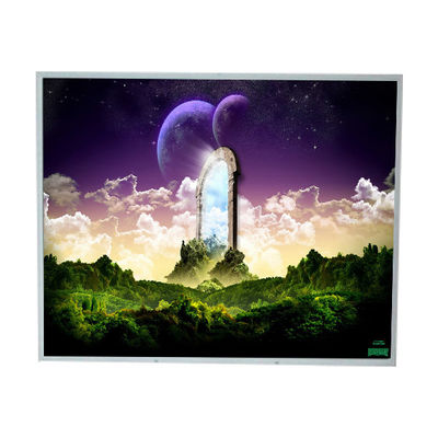 İyi bir fiyat. LM190E08-TLG2 19.0 inç LCD Modülü 1280*1024 LCD Ekranı çevrimiçi