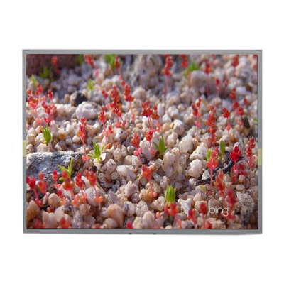 İyi bir fiyat. LM2011-SLWE01 Orijinal 20.1 inç 1680*1050 LCD Ekranı çevrimiçi