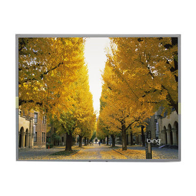 İyi bir fiyat. LM2013-WETLB1 20.1 inç LCD Ekran 1680*1050 LCD Ekran çevrimiçi