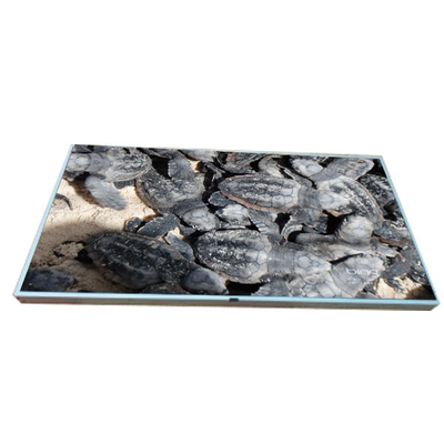 İyi bir fiyat. LM215WF2-SLA1 orijinal stokta 21.5 inçlik LCD ekran çevrimiçi