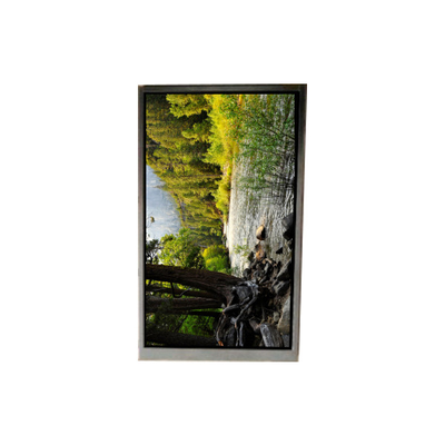 İyi bir fiyat. BA050WQ2-200 5.0 inç 480*272 LCD ekran taşınabilir navigasyon için çevrimiçi