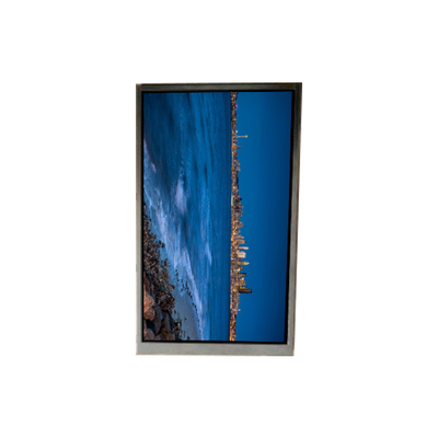 İyi bir fiyat. BS052FHG-N30-6C00 5.2 inç LCD Ekranı LCD ekran PANEL çevrimiçi