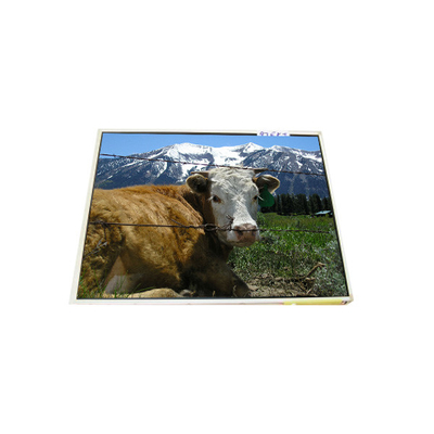 İyi bir fiyat. LP121X1-A2M1 12.1 inç 1024*768 dizüstü bilgisayar LCD ekranı çevrimiçi