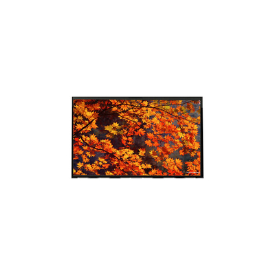 İyi bir fiyat. LP133WX1-TLB2 LCD ekran paneli 13.3 inç 1280*800 LCD Ekran Modülü çevrimiçi