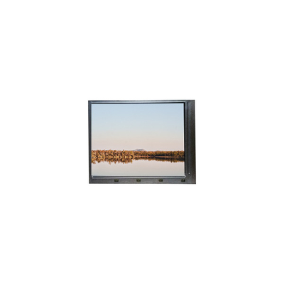 İyi bir fiyat. MV238FHB-N31 23.8 inç TFT-LCD Ekran çevrimiçi