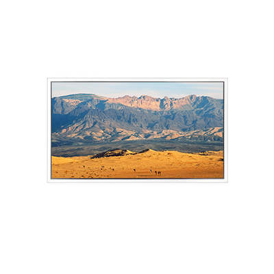 İyi bir fiyat. 49 inç 3840*2160 DV490QUB-N8A LCD ekranı çevrimiçi