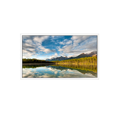 İyi bir fiyat. 55 inç DV550FHB-N30 1920*1080 Şeffaf Ekran için LCD Ekranı çevrimiçi