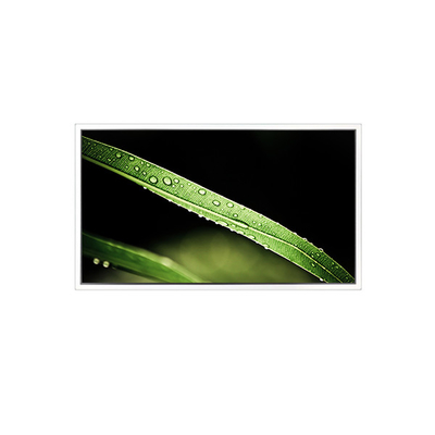 İyi bir fiyat. 3840*2160 65 inç DV650QUM-NV0 500 cd/m2 Video Duvarı için LCD Ekran çevrimiçi