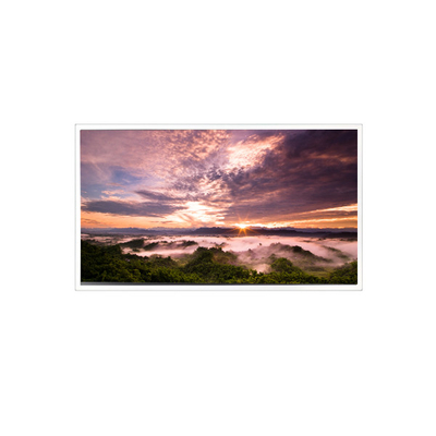 İyi bir fiyat. 18Endüstriyel için.5 inç QV185FHM-N80 1920*1080 LCD Panel çevrimiçi