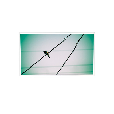 İyi bir fiyat. TDA104-001V01 Endüstriyel için 10.4 inç 1024*768 1000:1 LVDS LCD Panel Ekranı çevrimiçi