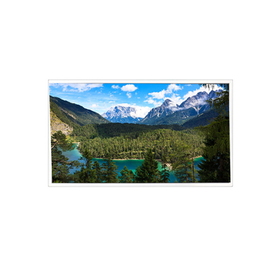 İyi bir fiyat. 1280*800 QV121WXB-N10 12.1 inç 60Hz 1200: 1 LCD Panel Ekran Modülü çevrimiçi