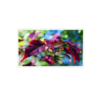 İyi bir fiyat. TV116FHM-N00 1920*1080 11.6 inç 60Hz 40 pinlik LCD Panel Ekran Monitörü çevrimiçi