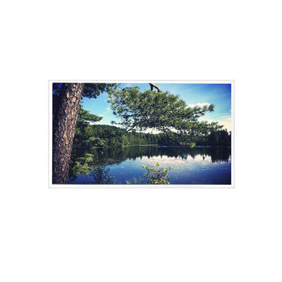 İyi bir fiyat. 1024*768 15.0 inç TDA150-002 LVDS 700 cd/m2 LCD Ekran çevrimiçi