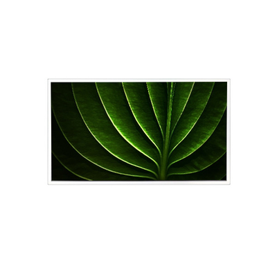 İyi bir fiyat. TAD201-001 Endüstriyel için 20.1 inç 1600*1200 450 cd/m2 60Hz LCD ekran çevrimiçi
