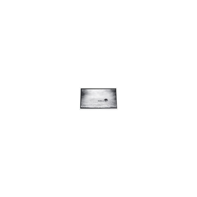 İyi bir fiyat. Projector için 640*480 3,5 inç PD035VX1 262K LCD Ekran çevrimiçi