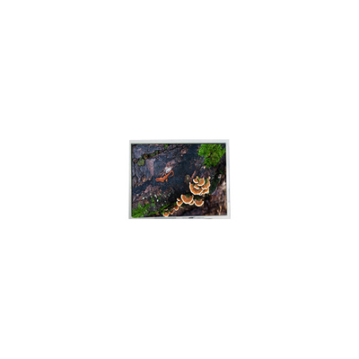 İyi bir fiyat. 5.7 inç PD057VU8 640*480 Endüstriyel için 60Hz LCD Ekran çevrimiçi