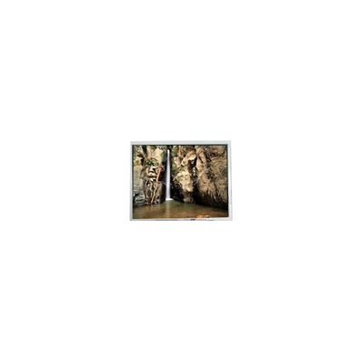 İyi bir fiyat. 800*600 PD104SLJ 10.4 inç 400 cd/m2 60Hz LCD Ekran çevrimiçi