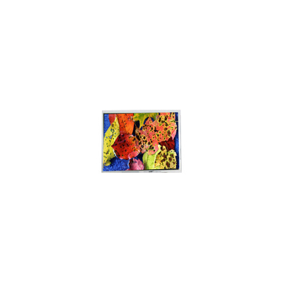 İyi bir fiyat. 800*600 AM-80060K3TMQW-02H 10.4 inç LVDS LCD Ekran Ekranı çevrimiçi