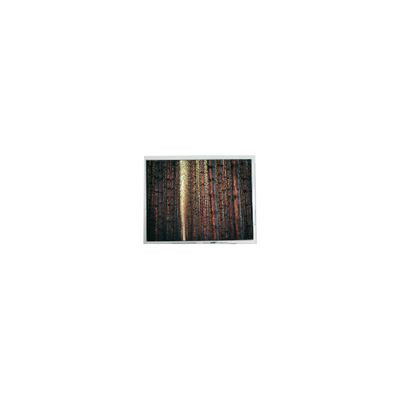 İyi bir fiyat. Orijinal 5.7 inç 640*480 AM-640480G2TNQW-W0H 500 cd/m2 LCD ekran çevrimiçi