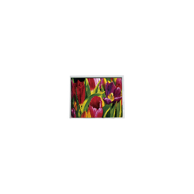 İyi bir fiyat. AM-800480LATMQW-TN0H-L 800*480 5.0 inç 3S6P WLED LCD Panel çevrimiçi