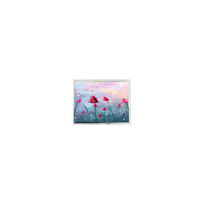 İyi bir fiyat. 5.0 inç AM-800480LTMQW-TW0H 800*480 262K LCD ekran çevrimiçi