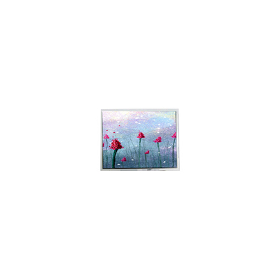 İyi bir fiyat. AM-800480LTMQW-TW1H 5.0 inç 800*480 Dokunmatik LCD Panel Ekranı çevrimiçi