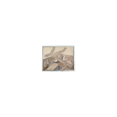 İyi bir fiyat. 800*480 5.0 inç AM-800480N3TZQW-30H LVDS 40 pinlik LCD Panel Ekranı çevrimiçi