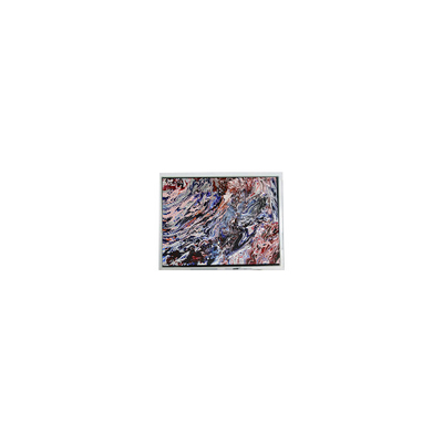 İyi bir fiyat. MiNi 5.0 inç 800*480 AM-800480N3TZQW-70H 16.7M LCD Panel Ekranı çevrimiçi
