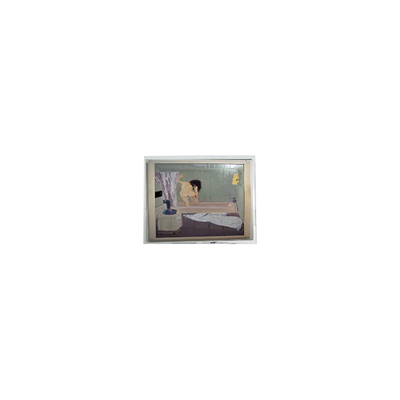 İyi bir fiyat. 800*480 5.0 inç AM-800480NATZQW-00H LCD Ekran Panel Ekranı çevrimiçi