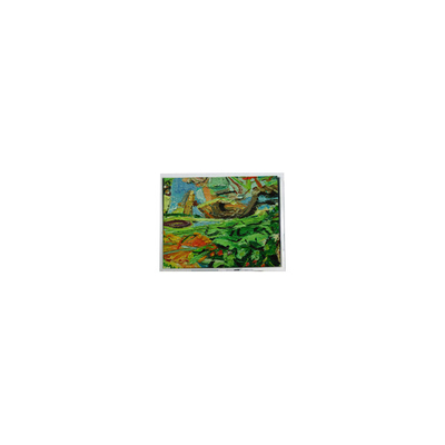 İyi bir fiyat. Orijinal 800*480 5.0 inç AM-800480NGTZQW-01H 45 pinli WLED LCD Ekran Paneli çevrimiçi