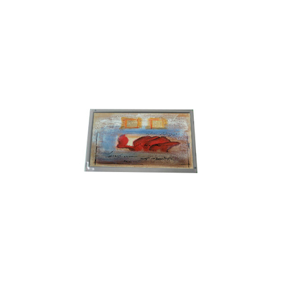 İyi bir fiyat. Hot Sell 800*480 AM-800480S5LMQW-00 7.0 inç 1000: 1 LCD Panel çevrimiçi