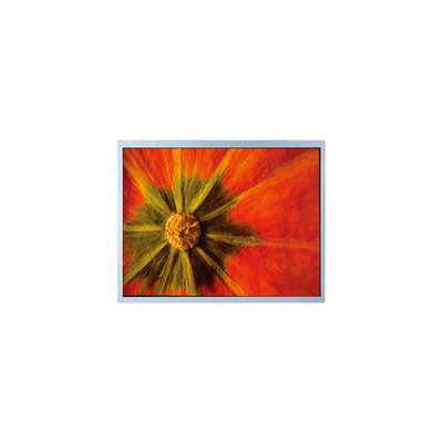 İyi bir fiyat. Orijinal 1024*600 AM-1024600LTMQW-T05H-A TFT LCD Ekranı çevrimiçi