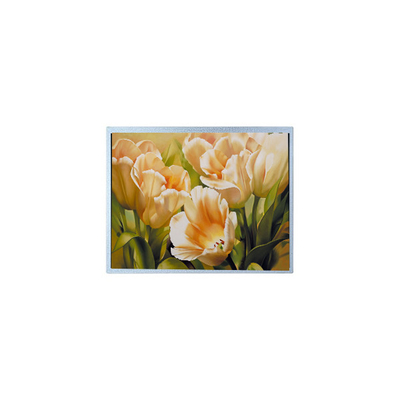 İyi bir fiyat. 9.0 inç 1024*600 AM-1024600Y2TZQW-A0H TFT 1200 cd/m2 LCD Ekran Paneli çevrimiçi