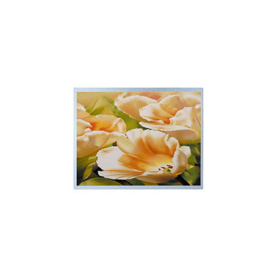 İyi bir fiyat. 1024*600 AM-1024600Y3TZQW-A1H 9.0 inç TFT 300 cd/m2 LCD Ekran Parçaları çevrimiçi