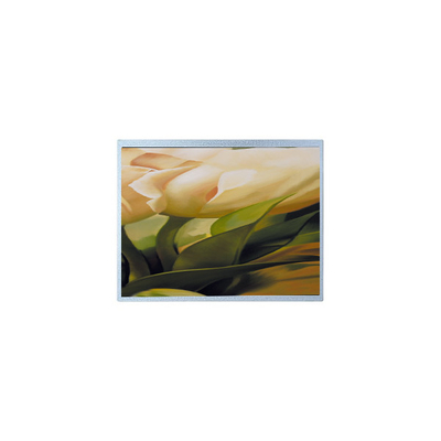İyi bir fiyat. AM-1024600YTZQW-00H 1024*600 9.0 inç TFT 500 cd/m2 LCD Ekran Paneli çevrimiçi