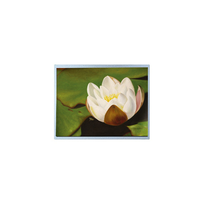 İyi bir fiyat. AM-1024768M2TMQW-T06H 1024*768 10.4 inç PCAP TFT LCD Ekran Parçaları çevrimiçi