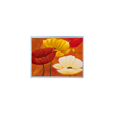 İyi bir fiyat. AM-1024768QTMQW-00H 15.0 inç 1024*768 20 pin TFT LCD Ekran Paneli çevrimiçi