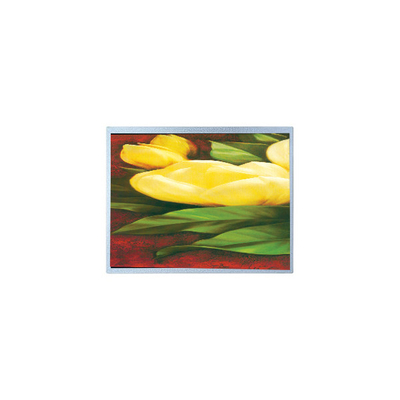 İyi bir fiyat. 12.1 inç AM-1024768R2TNQW-T00H 1024*768 TFT LCD Ekranı çevrimiçi