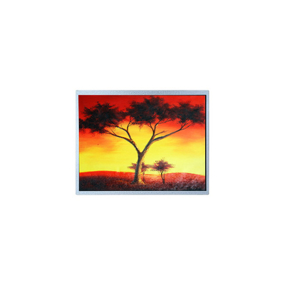 İyi bir fiyat. AM-1024768Z6TZQW-00H 1024*768 12.1 inç 1300 cd/m2 TFT LCD Ekran çevrimiçi