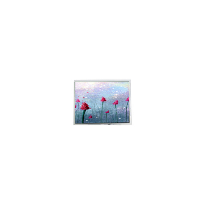 İyi bir fiyat. 5.2 inç DMF5005N-SEW-ABE-CP 240*64 70Hz LCD Ekranı çevrimiçi