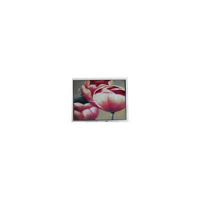 İyi bir fiyat. Orijinal 240*64 DMF5010NF-FW-BE 5.2 inç 70Hz LCD Panelli çevrimiçi