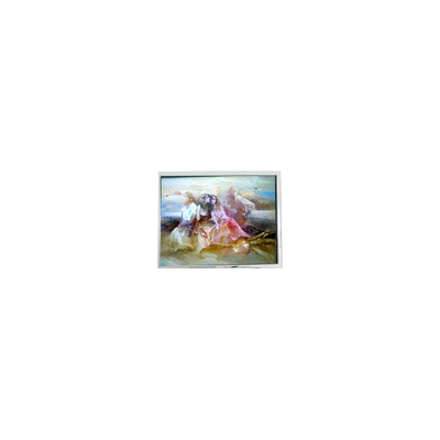 İyi bir fiyat. Orijinal 9.6 inç 640*200 DMF-50036ZNFU-FW Endüstriyel için LCD Panel çevrimiçi