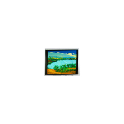 İyi bir fiyat. DMF-50316NF-FW-1 240*64 5.2 inç 130 cd/m2 LCD ekran çevrimiçi