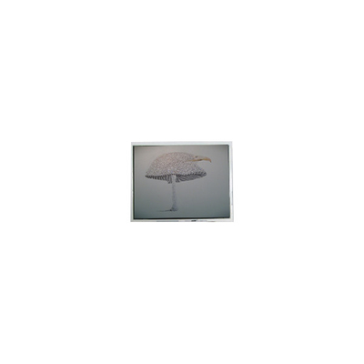İyi bir fiyat. 9.4 inç DMF-51043NFU-FW 640*480 LCD ekran Panel çevrimiçi