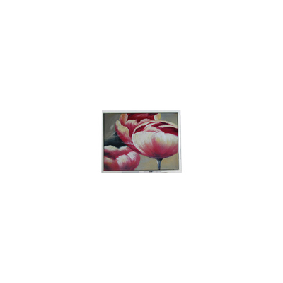 İyi bir fiyat. Yeni T-55548GD057JU-LW-AAN 5.7 inç 262K LCD ekran parçaları çevrimiçi