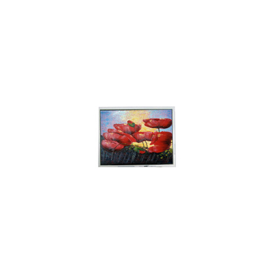 İyi bir fiyat. Sıcak Satış 6.5 inç 640*480 T-55629D065J-LW-A-ABN LCD Ekran Panel Ekranı çevrimiçi